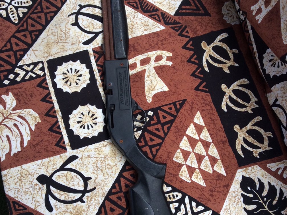 Crosman pumpmaster BB gun 