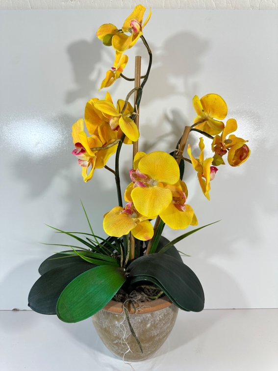 Beautiful Forever Orchid - Elegant Yellow Artificial Orchid in Pot