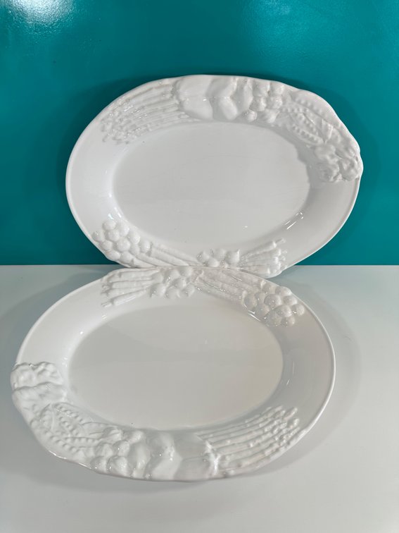 (X's 2) Pier 1 Imports Large Oval Ceramic Serving Platters - Elegant Embossed Design