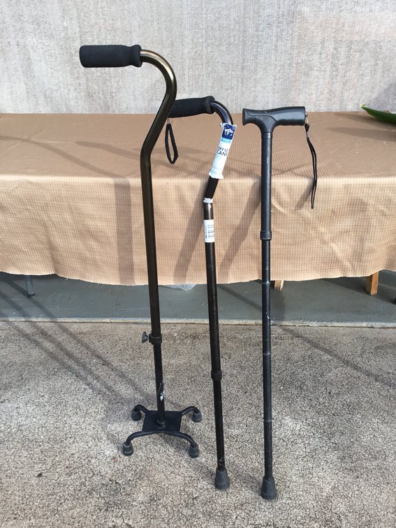 Three Canes