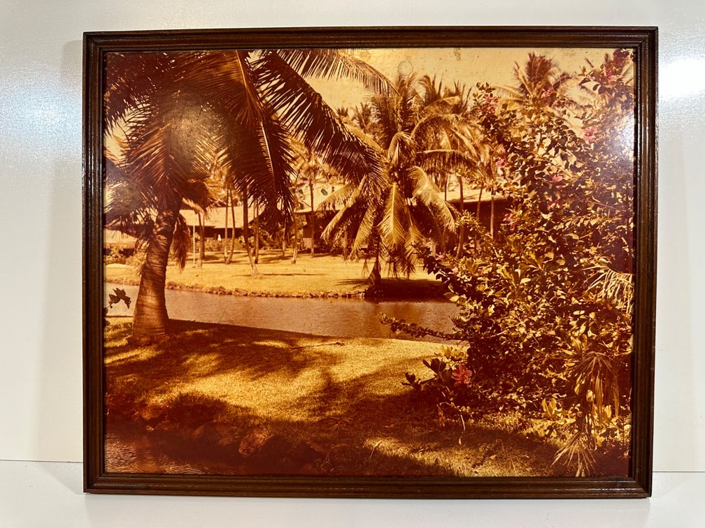 Framed Vintage Photograph of Coco Palms Property from Guslander Estate