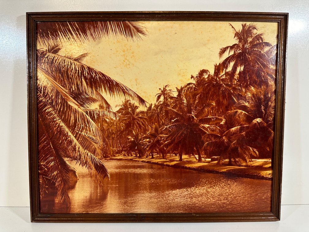 Framed Vintage Photograph of Coco Palms Property from Guslander Estate