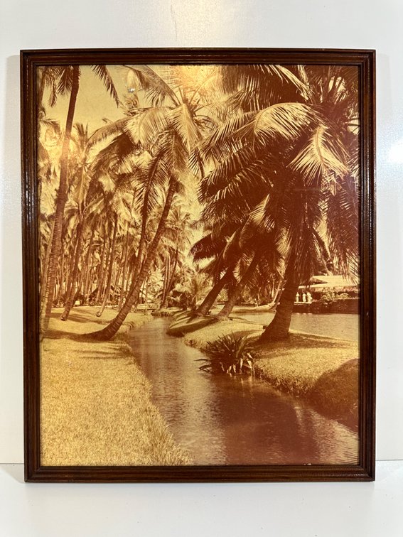 Vintage Framed Photograph of Coco Palms Property - The Guslander Estate