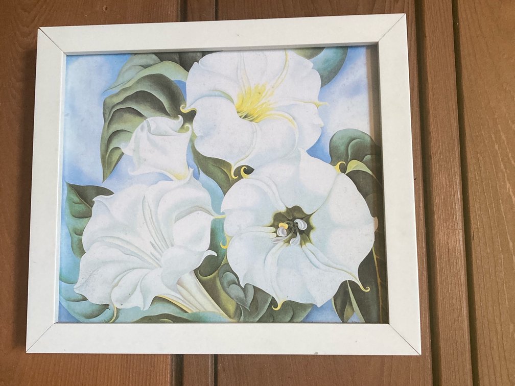 Small Georgia O’Keefe Datura print 