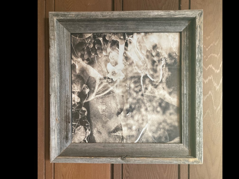 Photography Print Rustic Wood Frame 