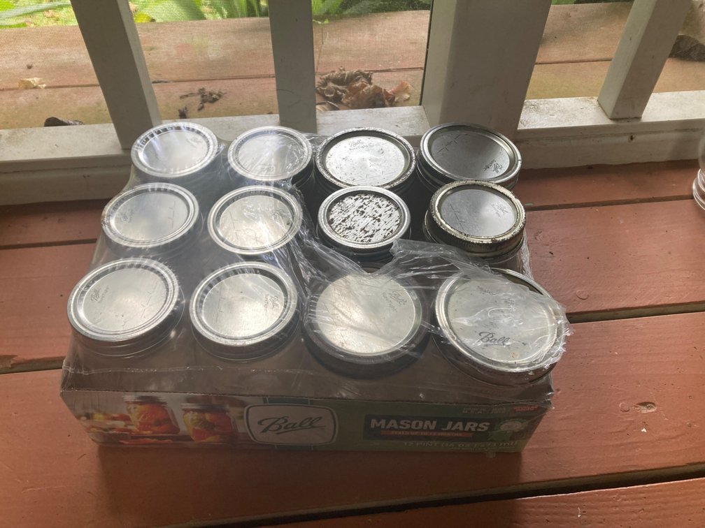 Dozen Pint Jars with Lids