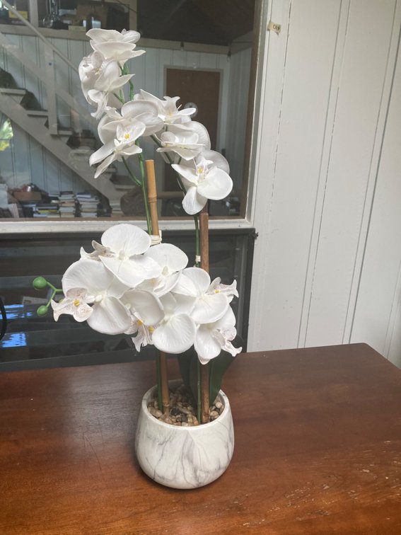 Elegant Faux White Orchids