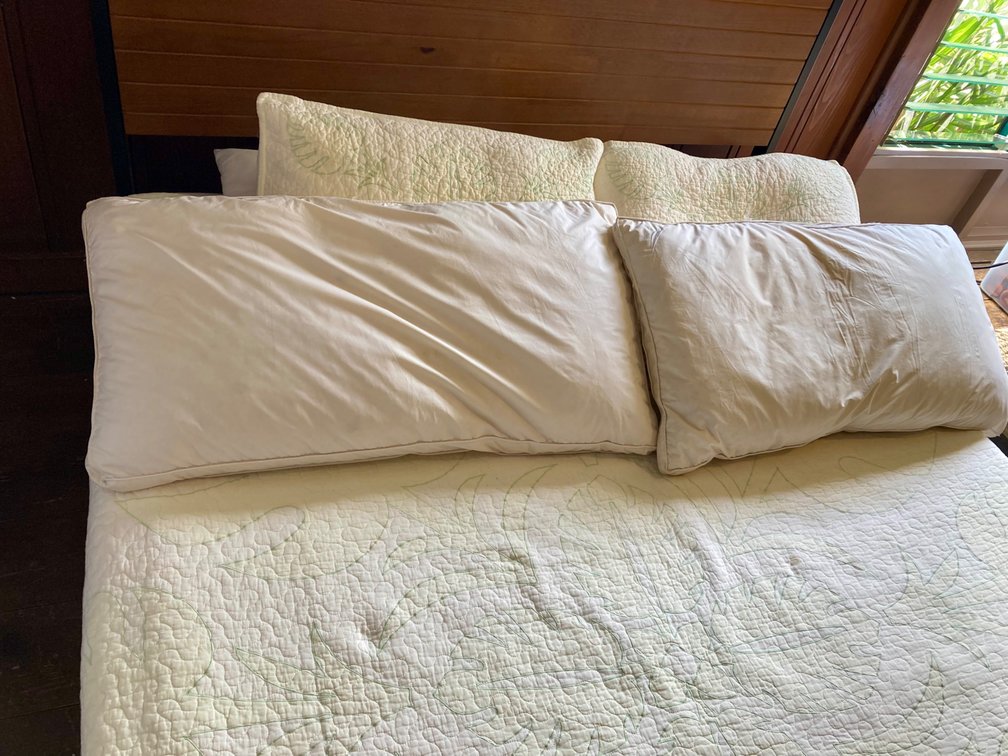 (X's2) King or queen size down pillows 