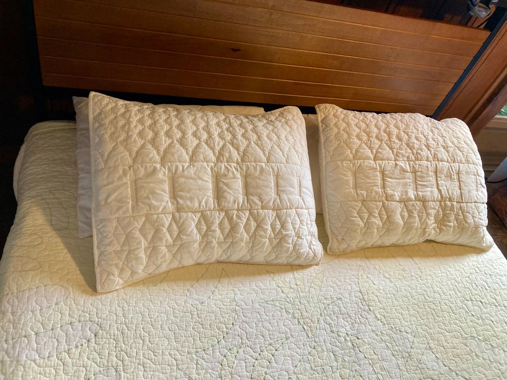 (X's2) West Elm Queen Pillowcase w/ 2x queen pillows