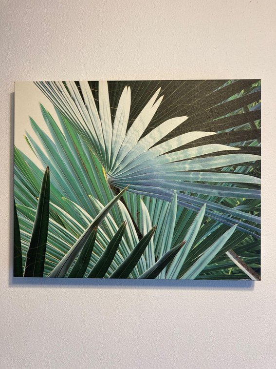 Canvas Screen Print
