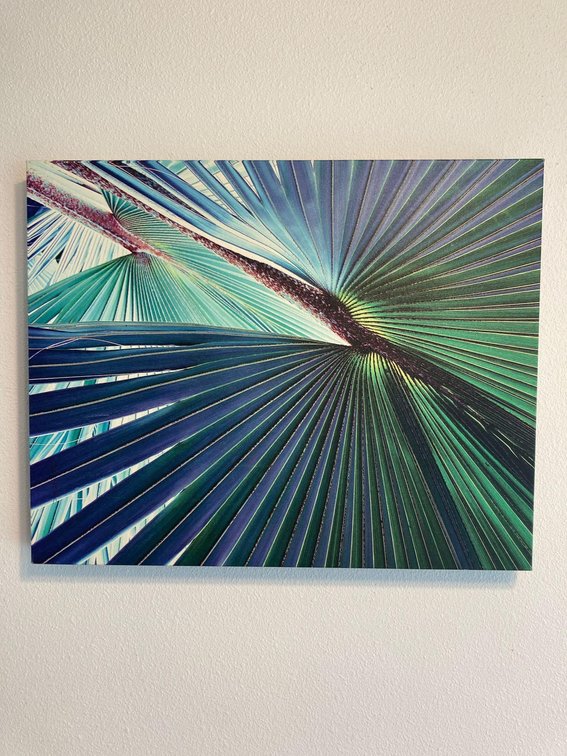 Canvas Screen Print