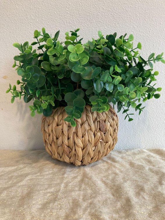 Faux Plant in Basket