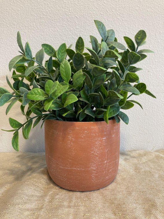 Faux Plant 