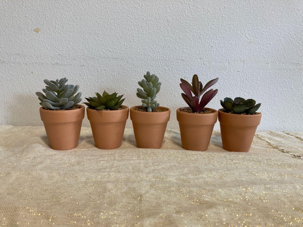 Faux mini succulents in terra cotta pots