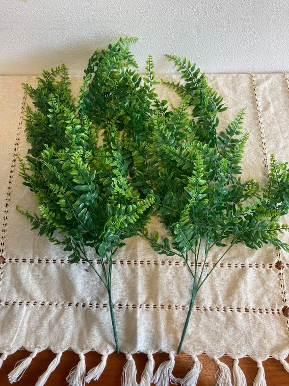 Faux Plastic Ferns