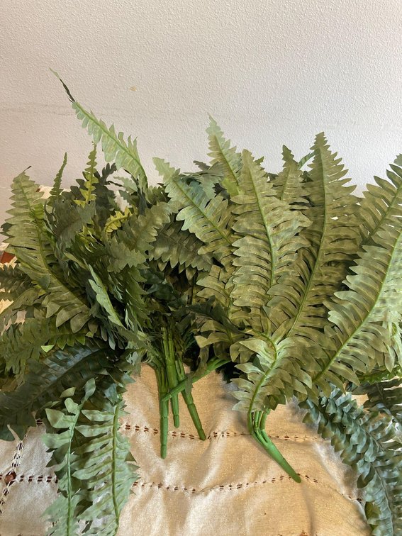 Faux Fern Lot