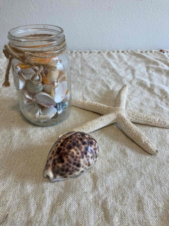 Shell Lot