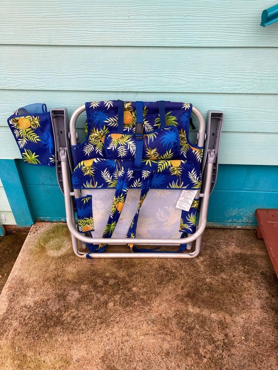 Tommy Bahama Beach Chair
