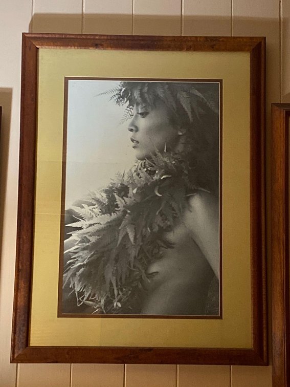 Framed Hula Dancer Print
