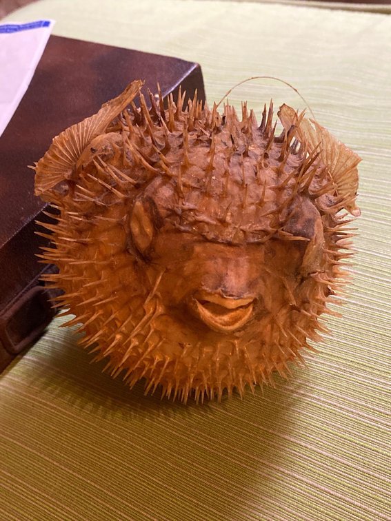 Sea Life Blow Fish Decor Piece
