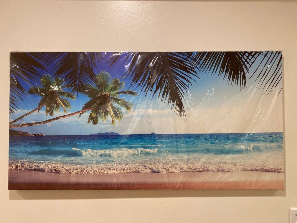 New in Plastic - 47" X 24" Beach and Coconut Tree Canvas Print 