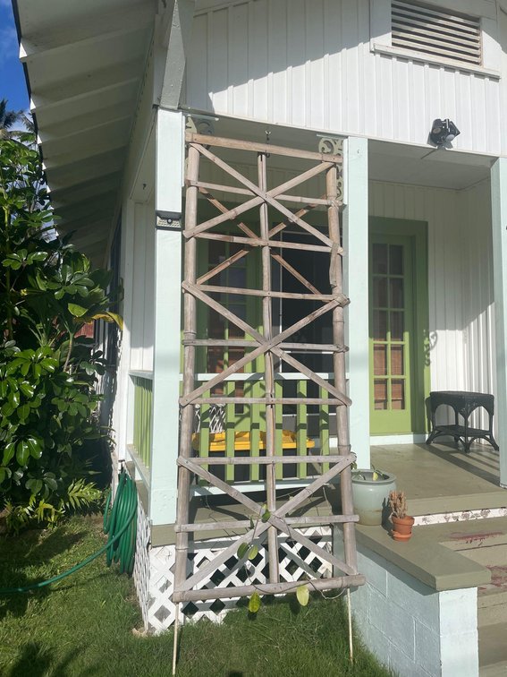 8 foot tall bamboo garden trellis 