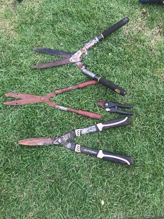 Garden Clippers