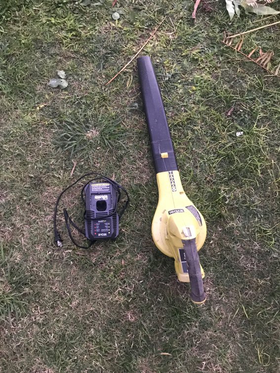 Lawn Blower with Charger   ( Battery Missing )