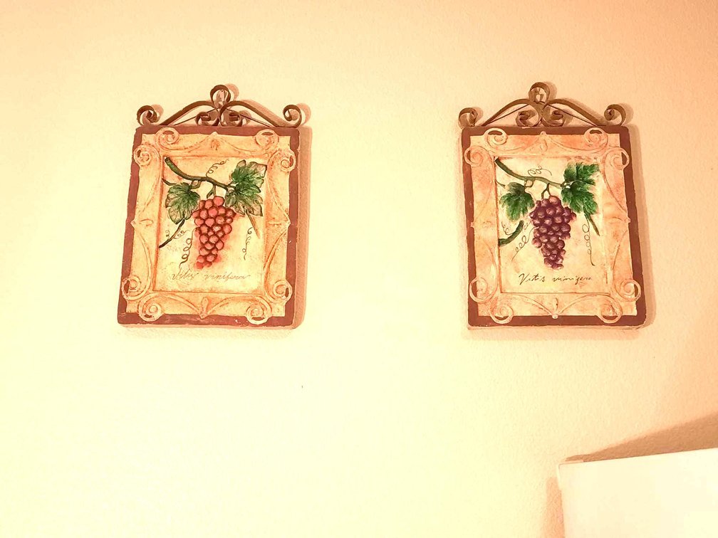 Red & Purple Grapes on Terracotta Plaques