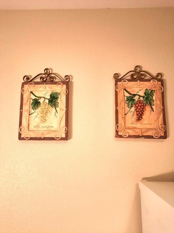 Green & Purple Grapes on Terracotta Plaques