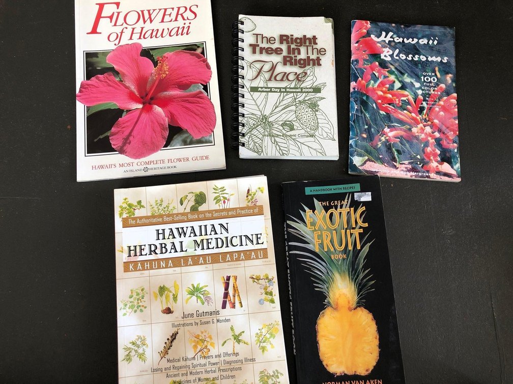 Lot of 6 Hawaii Books