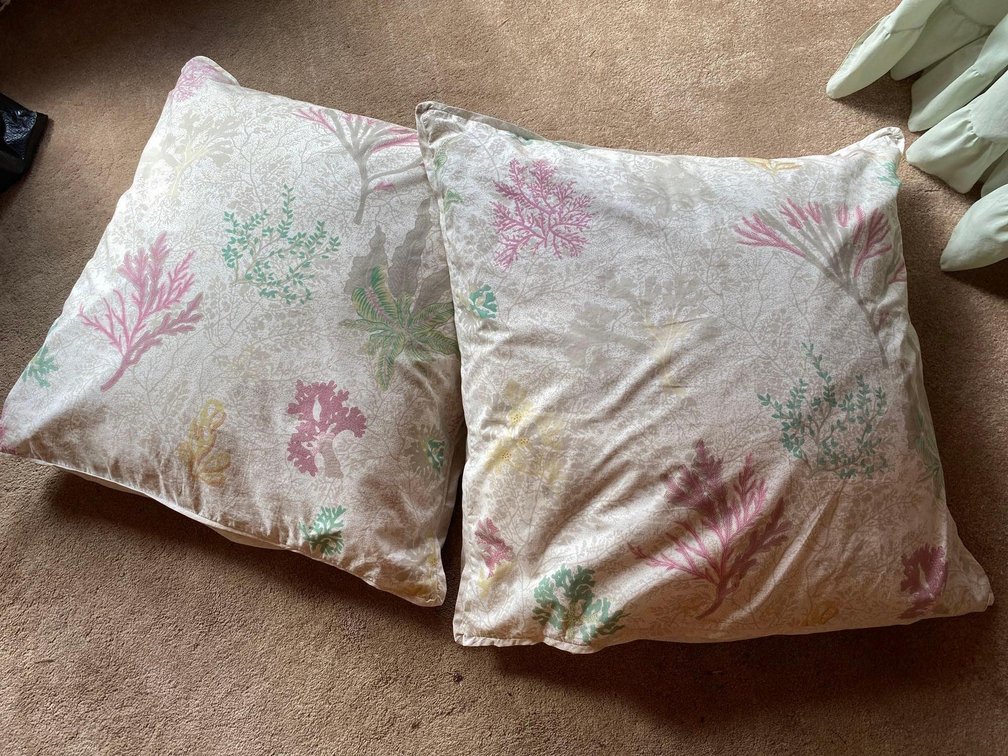 (X's 2) Island Design Accent Pillows 