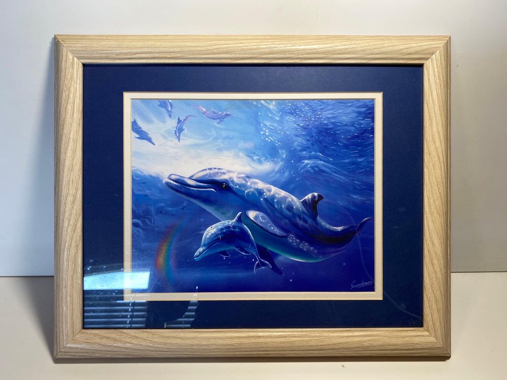 Frame Signed Steve Sundram Underwater Dolphin Print
