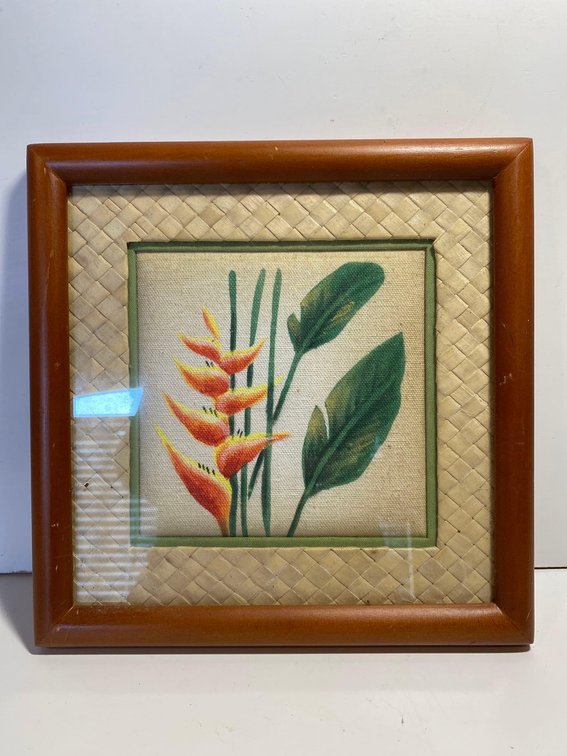 Framed Hand Painted Vintage Collection Tropical Plant Art
