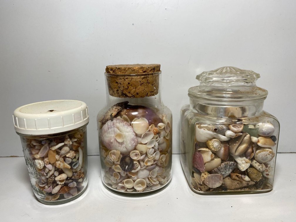 (X's 3) Jars of Mixed Sea Shells 