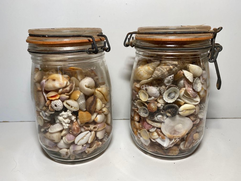 (X's 2) Jars of Mixed Sea Shells 