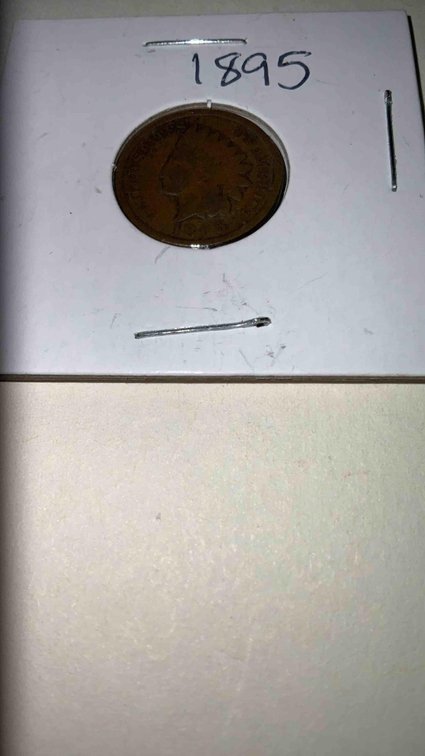 1895 Indian Head  Penny 