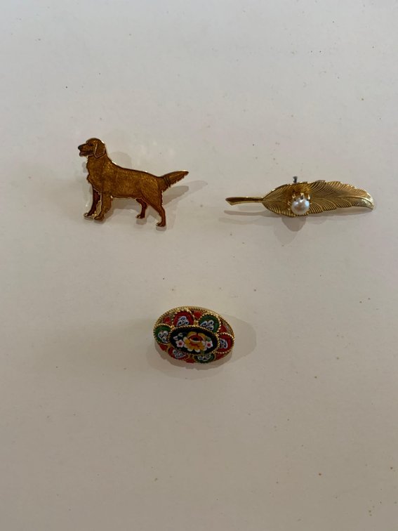Three fashion pins