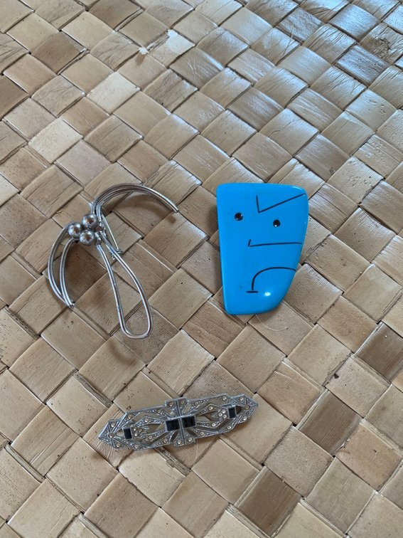 Arty fashion pins