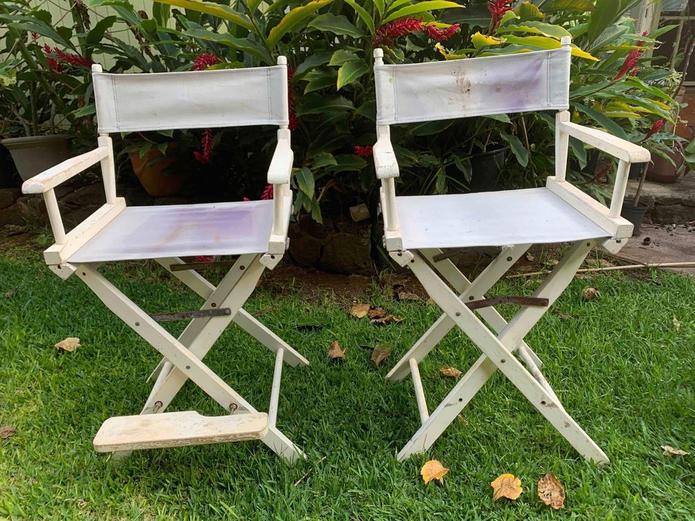 Director chairs