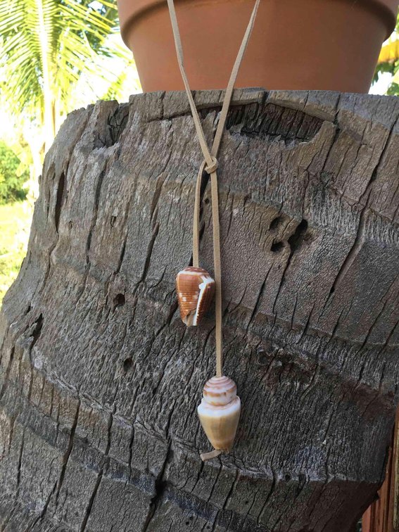 Kauai Shells on Leather Necklace