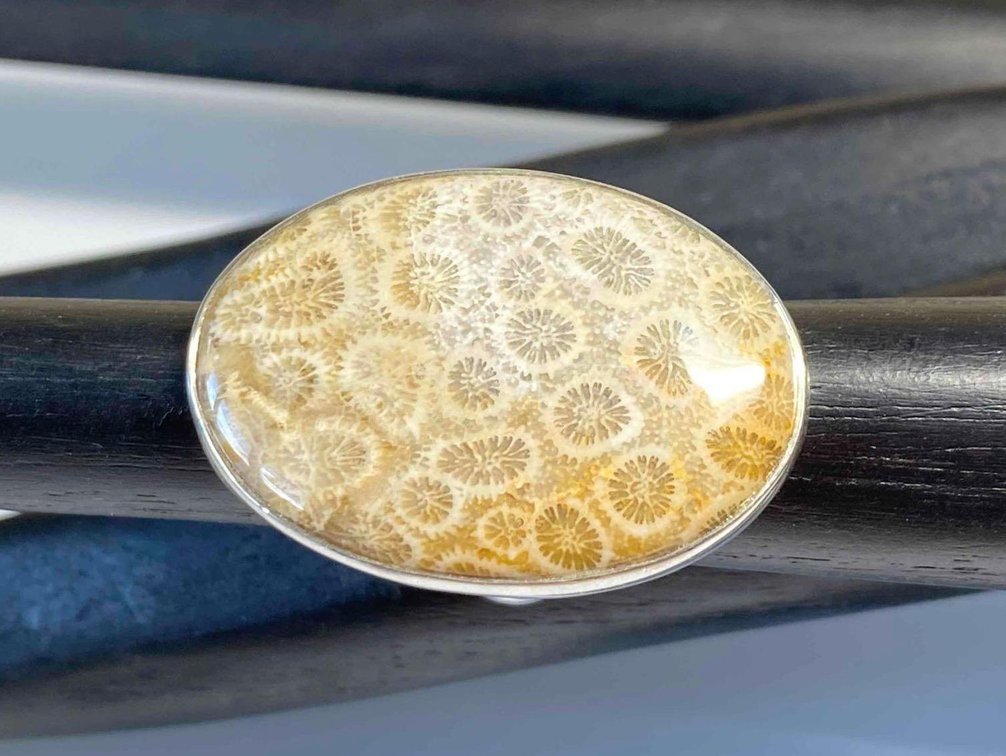 Fossilized Coral Ring Size 8