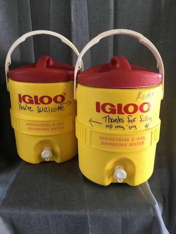 Two Igloo Jugs