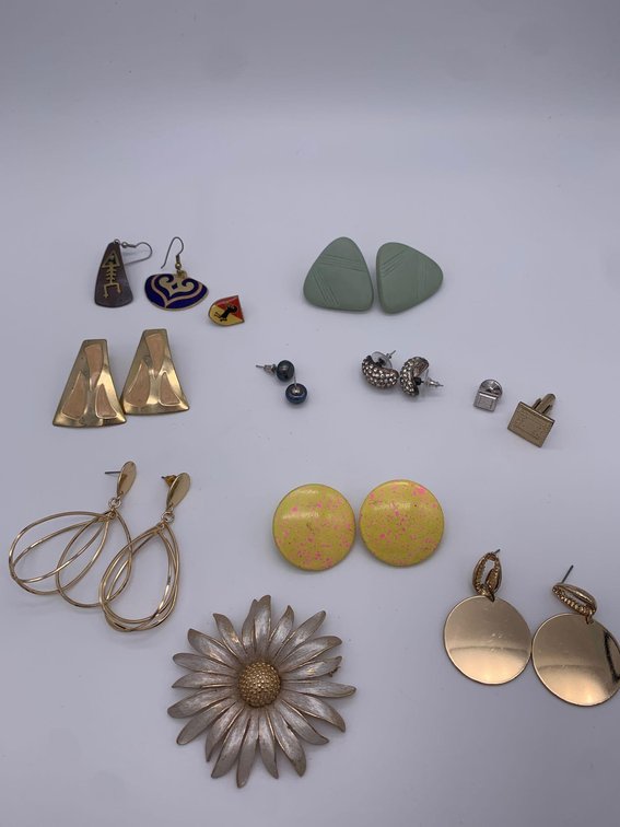 Fashion Earrings Brooch & Pins