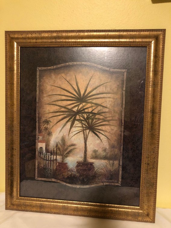 Pair of Framed Palm Pictures