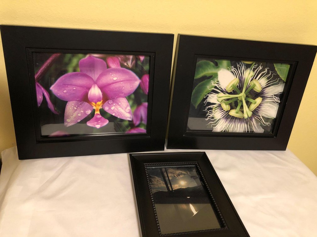 Set of Three Frames with Photos