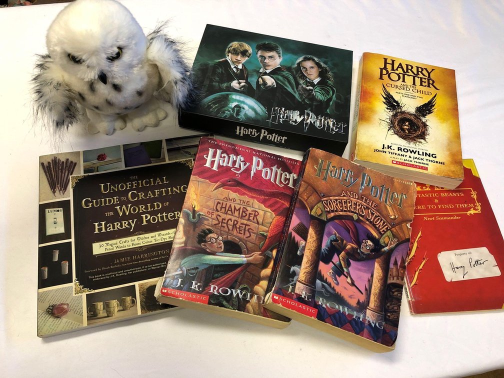 Harry Potter Lot