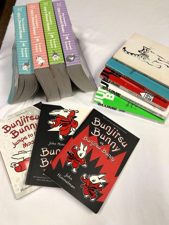 Kids Fiction Book Lot