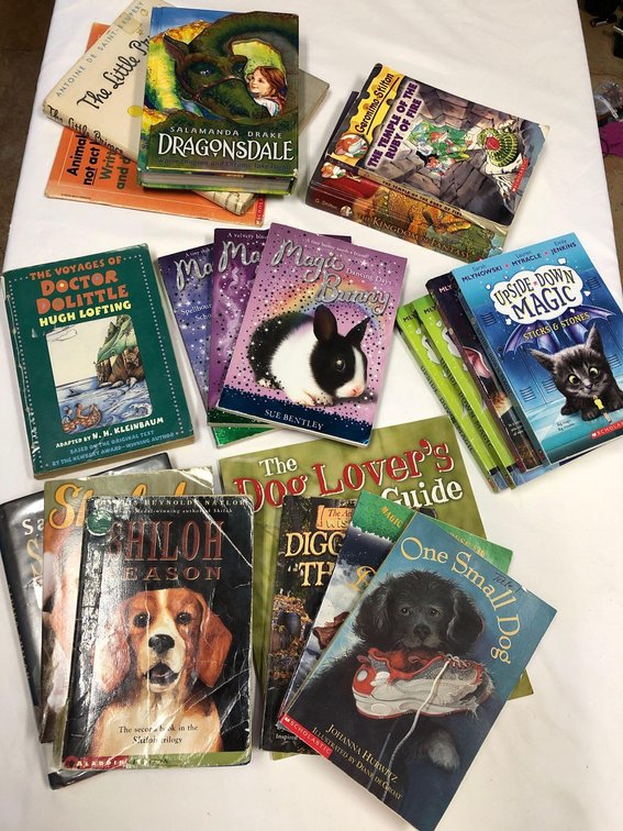 Kids Fantasy and Fiction Book Lot