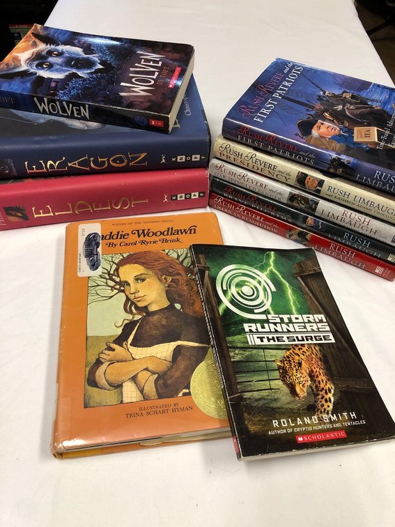 Kids Fiction and Fantasy Book Lot